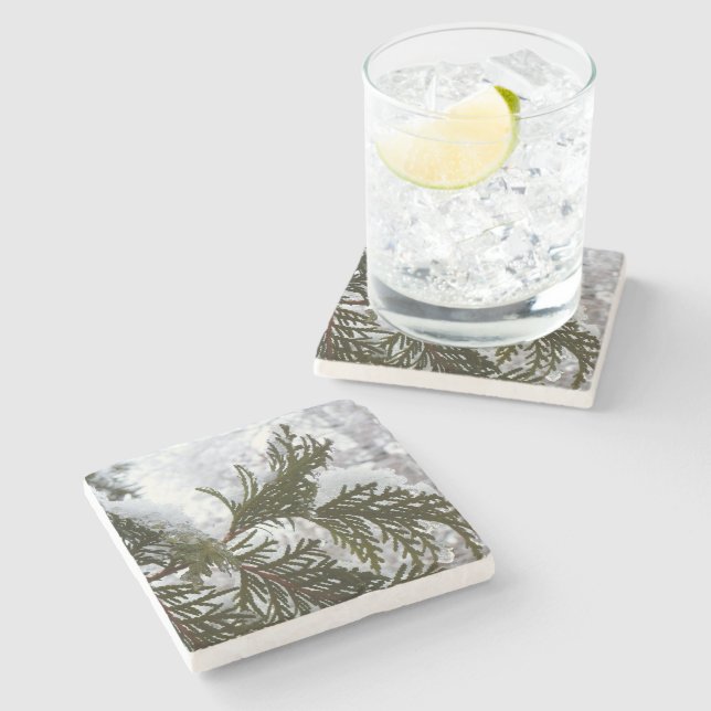 Snö på Evergreen Grenar Stenunderlägg (Sidan)