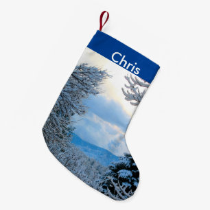 Snö på Gräs Träd i Colorado Rocky mountains Liten Julstrumpa