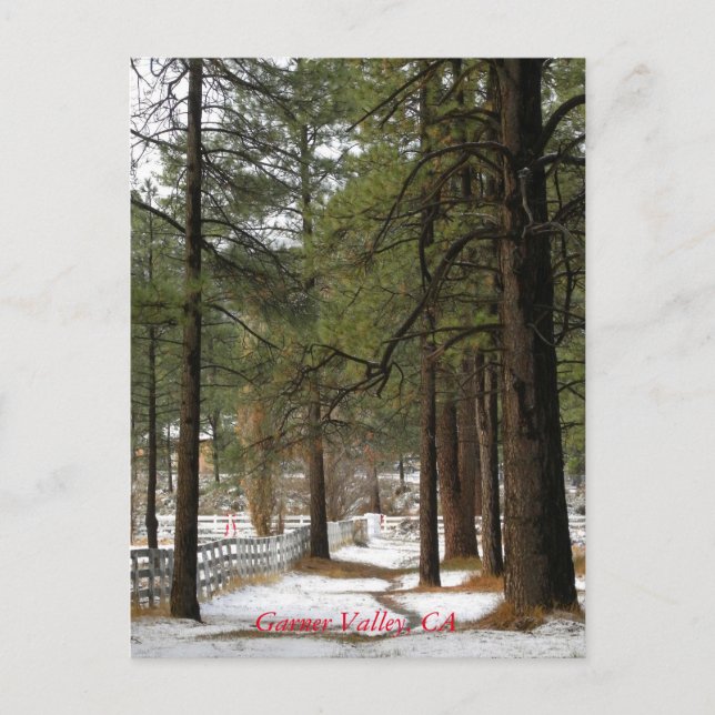 Snö på julvykort helg vykort (Framsida)