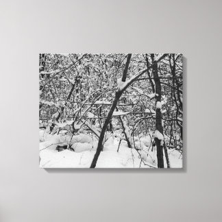 Snö på svartvit bild av träd på arbetsytan