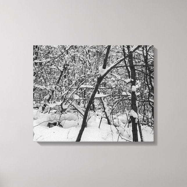 Snö på svartvit bild av träd på arbetsytan (Framsida)