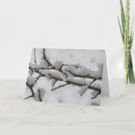 Snö på trädgren helgkort