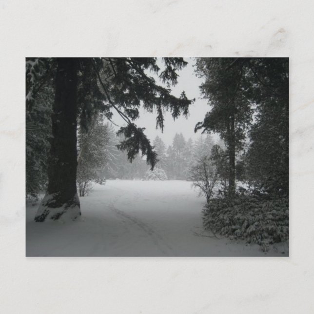 Snö på vykort i Vassar (Framsida)
