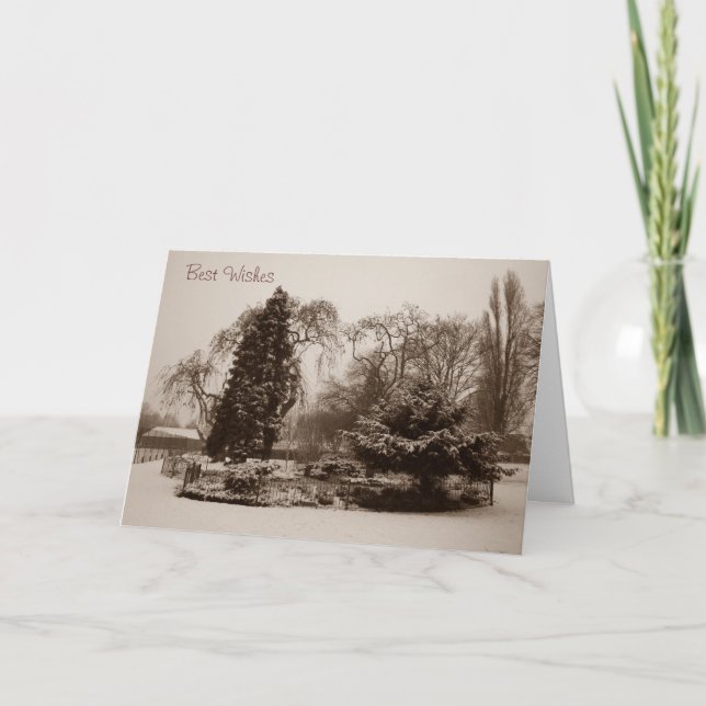 snö-parken träd landskaps-christmas helgkort (Framsida)