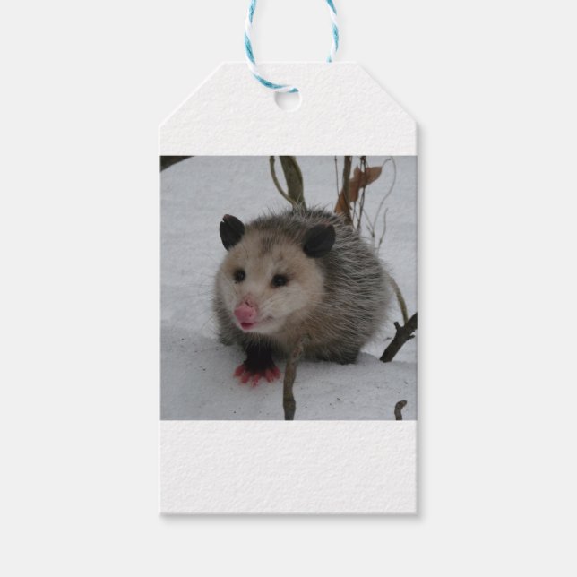 Snö Possum Presentetikett (Framsidan)