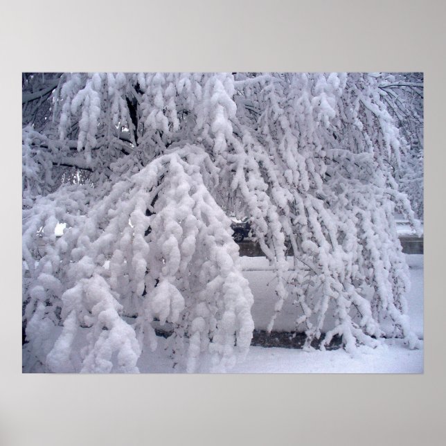 Snö Poster i april (Framsidan)