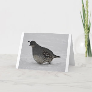 Snö Quail Kort
