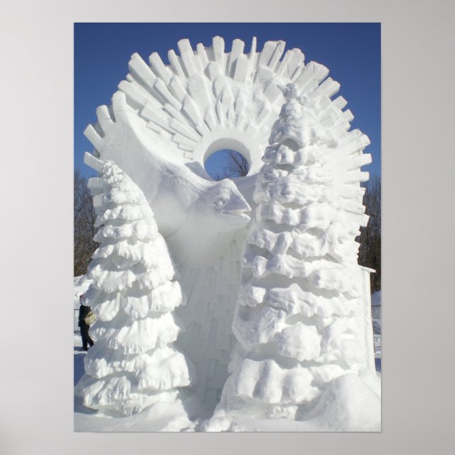 Snö Raven Poster (Framsidan)