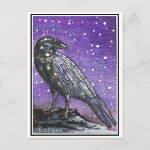 Snö Raven-vykort Vykort