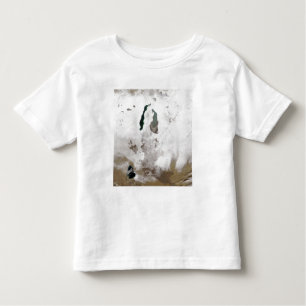 Snö runt Aralsjön Tee Shirt