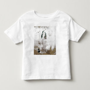 Snö runt om det Aral havet Tee Shirt