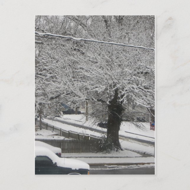 Snö Scene Vykort (Framsida)