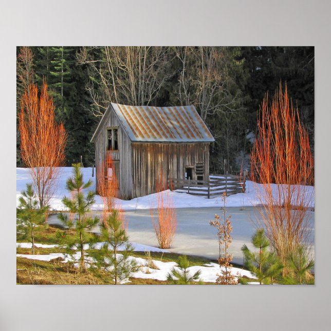 Snö Shed Poster (Framsidan)