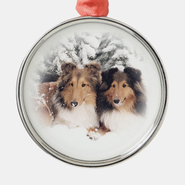 Snö Shelties Julgransprydnad Metall (Framsidan)