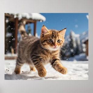 *~* Snö som kör Kattunge 5:4 Kitten Katt AP68 Poster