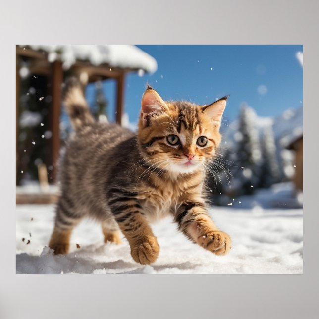 *~* Snö som kör Kattunge 5:4 Kitten Katt AP68 Poster (Framsidan)