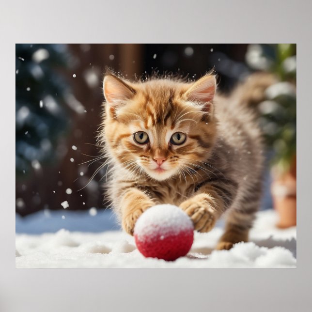 *~* Snö som spelar Boll Kattunge 5:4 Kitten Katt A Poster (Framsidan)