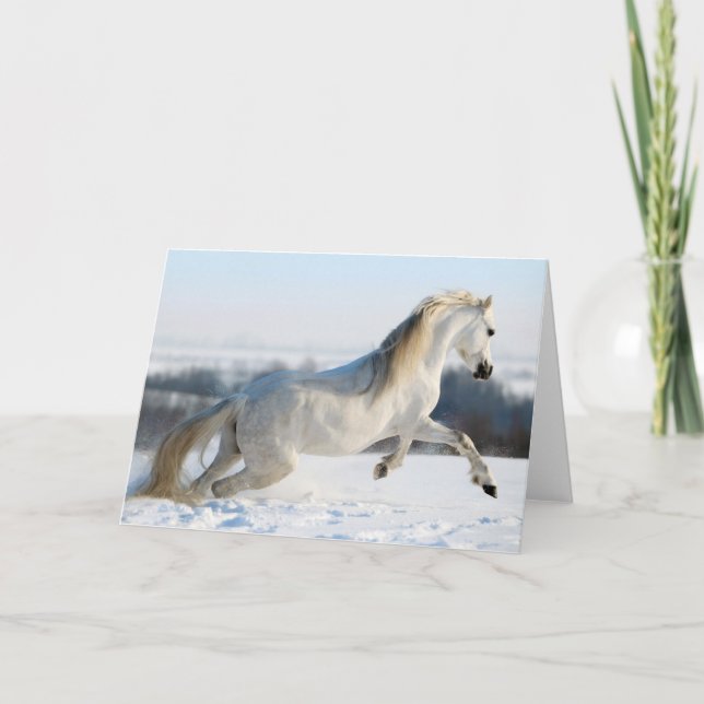 Snö Springer Helgkort (Framsida)