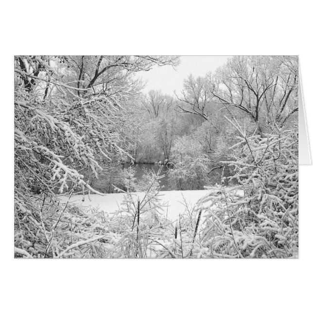 Snö Storm Hälsningskort (Framsidan Horizontal)