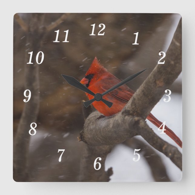 Snö Storm Kardinal Wall Clock Fyrkantig Klocka (Framsida)