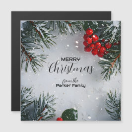 Snö-täckt Gräs, Holly Berries, non Photo