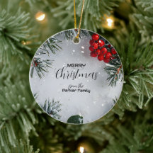 Snö-täckt Gräs, Holly Berries, non Photo