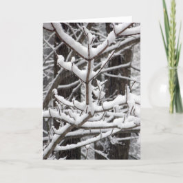 Snö-täckt Grenar Kort