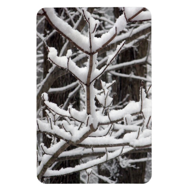 Snö-täckt Grenar Magnet (Vertikal)