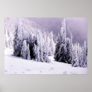 Snö täckt landskap poster