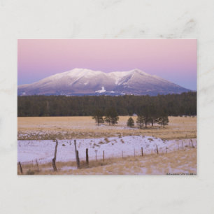 Snö-täckt San Francisco Peaks vid Sunset Vykort