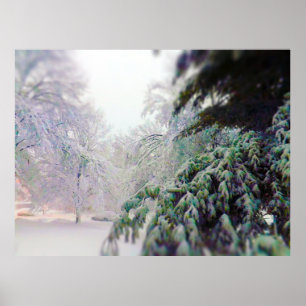 Snö täckt Träd, Gräs på KC Street Poster