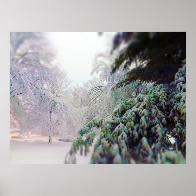 Snö täckt Träd, Gräs på KC Street Poster (Framsidan)