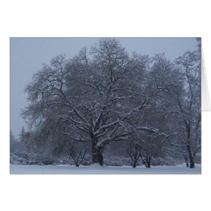 Snö täckt träd hälsningskort