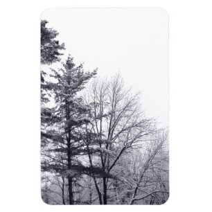 Snö-täckt Träd: Lodrät Magnet