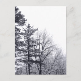 Snö-täckt Träd: Lodrät Vykort
