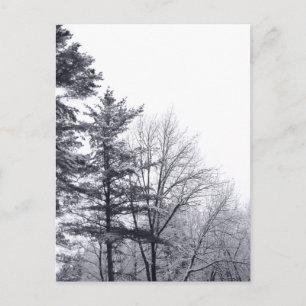 Snö-täckt Träd: Lodrät Vykort