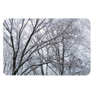 Snö-täckt Träd Magnet