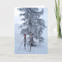Snö-täckt Träd och Skis