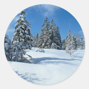Snö-täckt Träd, vinterscen Runt Klistermärke