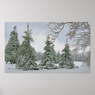 Snö täckt trädaffisch poster