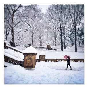 Snö-Täckt trappor i Central Park Fototryck