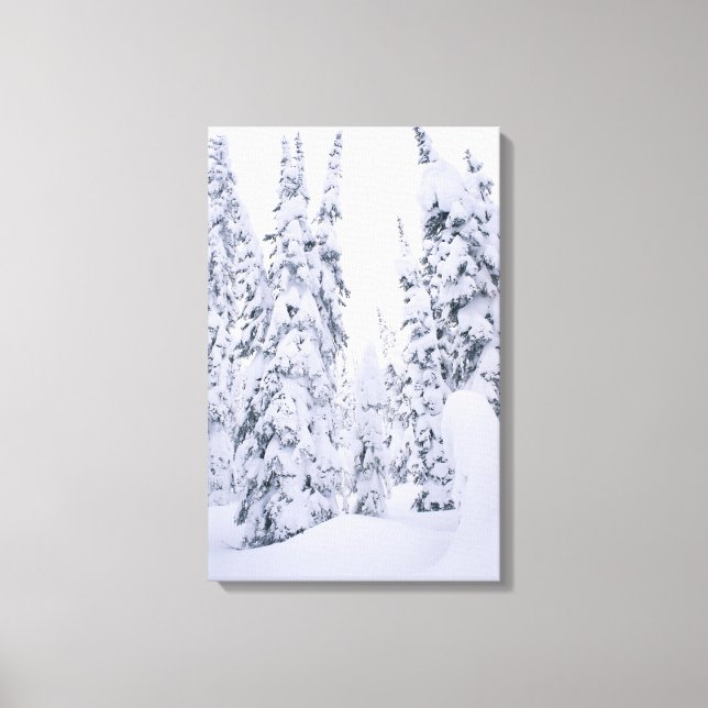 Snö-täckta burar, burk, gräs canvastryck (Framsida)