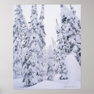 Snö-täckta burar, burk, gräs poster