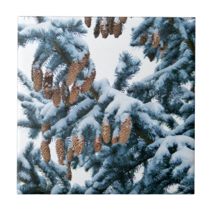 Snö täckta Gräs-påsar och-påsar Kakelplatta