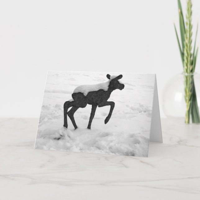 Snö täckte Baby Moose Helgkort (Framsida)