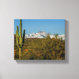 Snö täckte bergen Saguaro Cactus Arizona USA Canvastryck