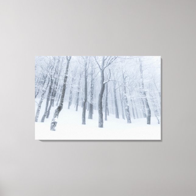 Snö täckte frusen skog på vintern canvastryck (Framsida)
