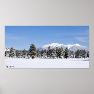 Snö täckte Gräs & San Francisco Peaks Arizona Poster