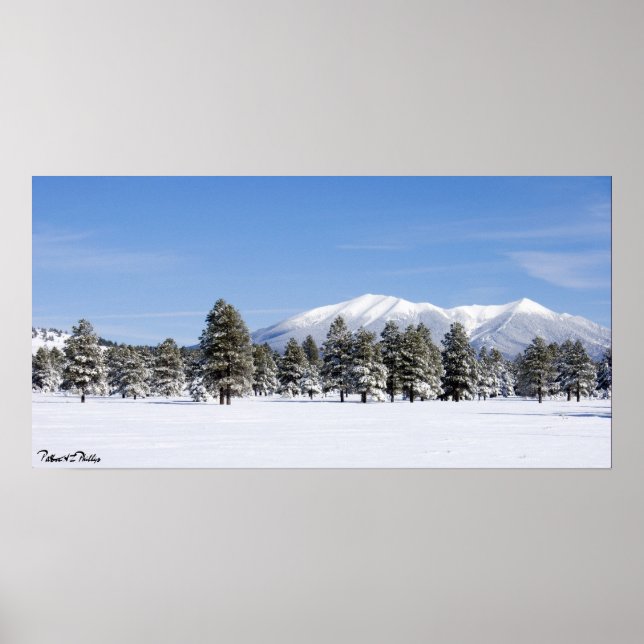 Snö täckte Gräs & San Francisco Peaks Arizona Poster (Framsidan)
