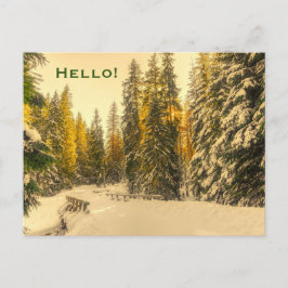 Snö täckte Gräs Träd Forest Nature Foto Hej Vykort